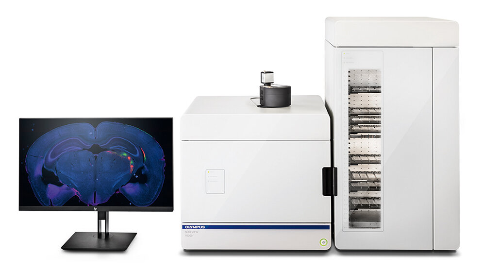 Hochdurchsatz-Digitalisierung von Objektträgern