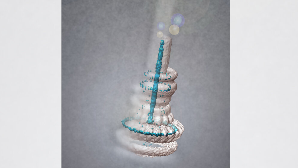 Molekulare Nadel „T3SS“