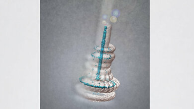 Molekulare Nadel „T3SS“