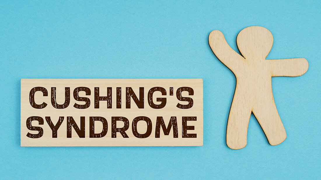 Cushing’s Syndrome in Dogs Grafik zu „Cushing’s Syndrome“