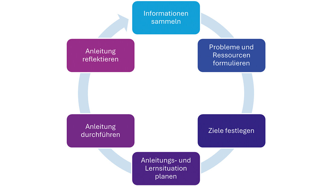Prozessdiagramm zur Praxisanleitung