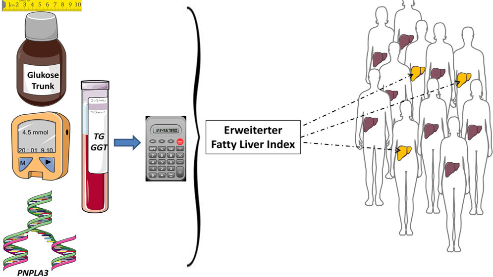 Erweiterter Fatty-Liver-Index