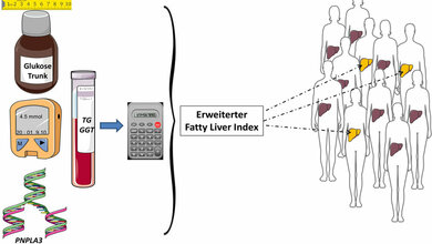 Erweiterter Fatty-Liver-Index
