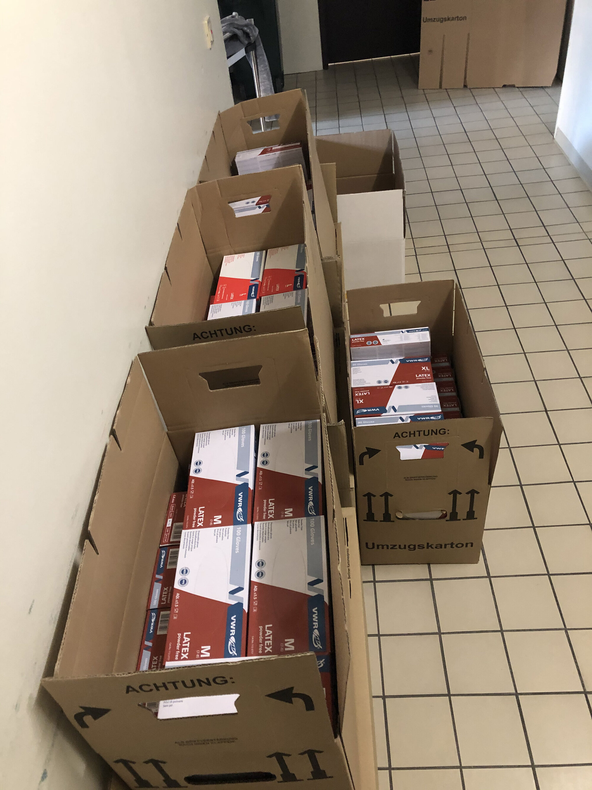 Bestand an Laborhandschuhen zur Verfügung gestellt. 