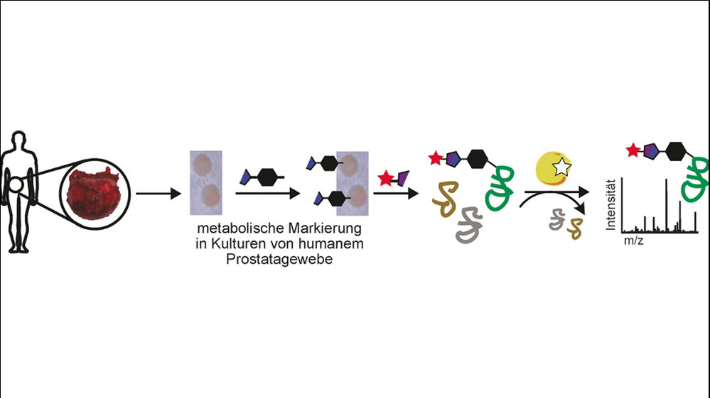 Biomarker_fuer_Krebs_Wiley_VCH.jpg Biomarker für Krebs