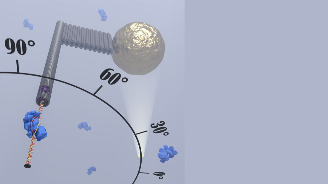Die Forscherinnen und Forscher haben einen DNA-Rotorflügel konstruiert