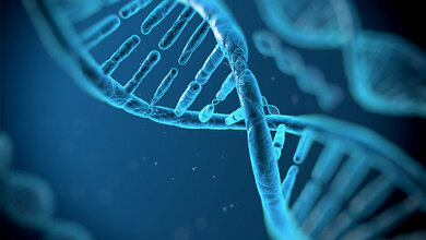 Mit dem EU-Projekt CAN.HEAL soll Krebsversorgung europaweit verbessern, individuelle Risikobewertung im Fokus