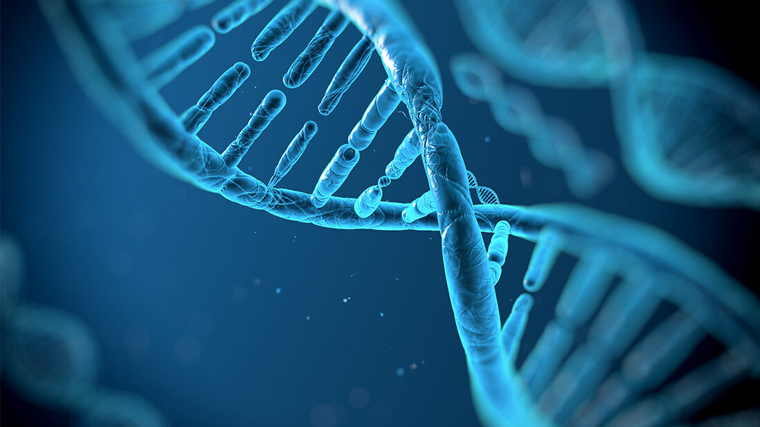 Mit dem EU-Projekt CAN.HEAL soll Krebsversorgung europaweit verbessern, individuelle Risikobewertung im Fokus