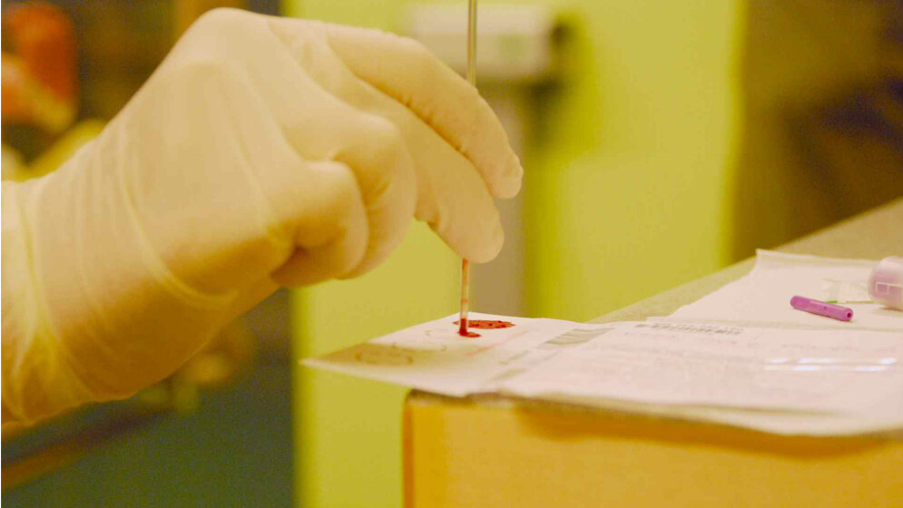 Das Blut wird auf ein Papier getropft 