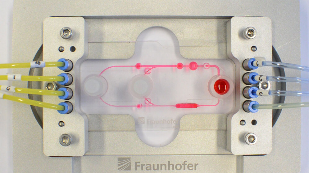 Multiorgan-Chip mit Pumpen und Ventilen