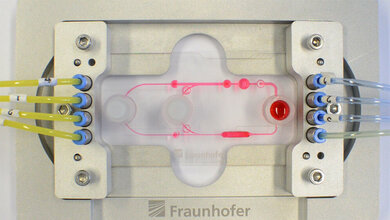 Schema_in_der_Praxis_Fraunhofer_IWS_Dresden.jpg Multiorgan-Chip mit Pumpen und Ventilen
