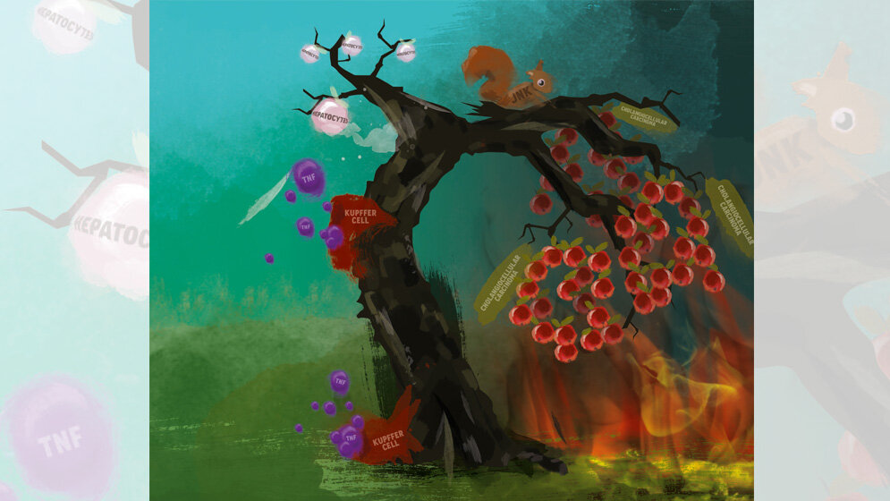 Rolle_der_hochreaktiven_Sauerstoffverbindungen_Peter_von_Walter_DKFZ.jpg z Rolle der hochreaktiven Sauerstoffverbindungen