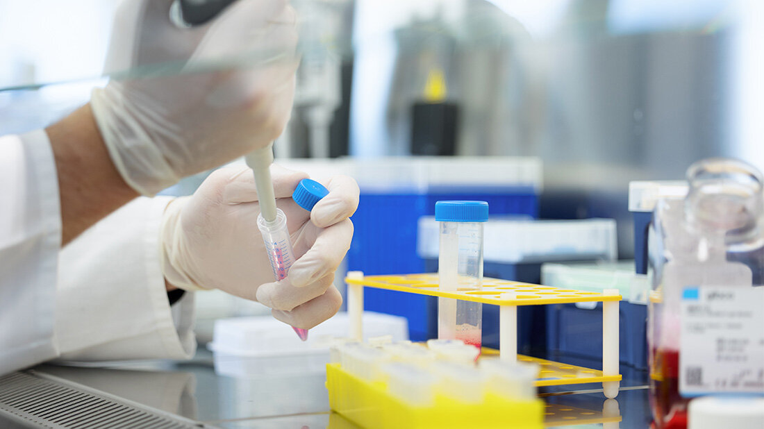 Wirkung von Süßstoff aufs Immunsystem