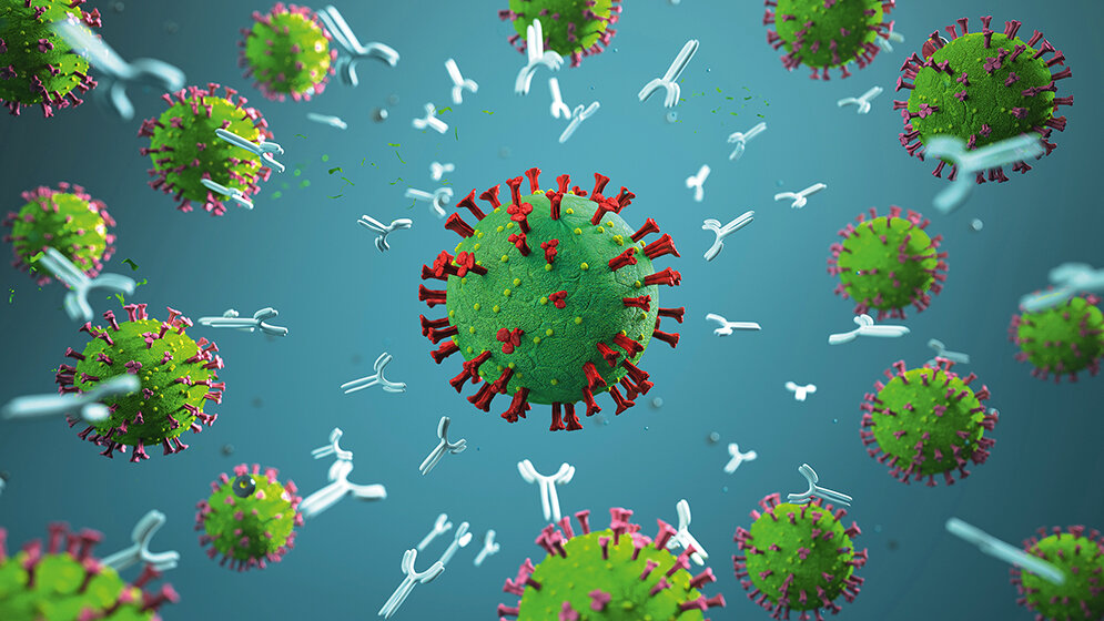 Let‘s say it in English SARS-CoV-2 Antibody Detection