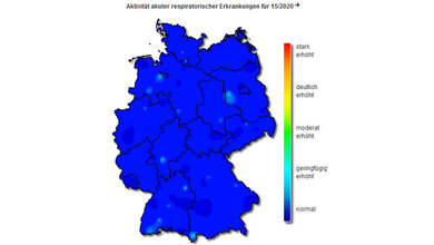 Grippewelle_Ende_RKI_AGI.jpg