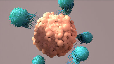 T_Zelltherapie_Design_Cells_Adobe.jpg CAR-T-Zelltherapie: Zytopenien vorhersagen?
