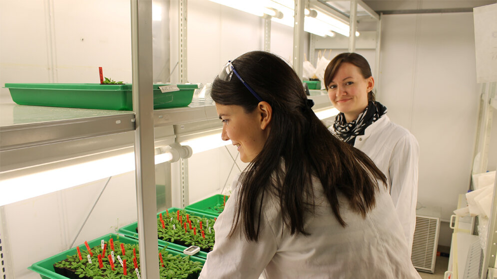 Die Bayreuther Doktorandinnen Carolin Kerl und Colleen Rafferty 