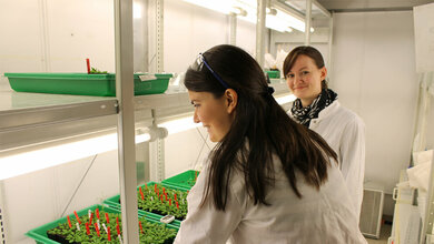 Die Bayreuther Doktorandinnen Carolin Kerl und Colleen Rafferty 