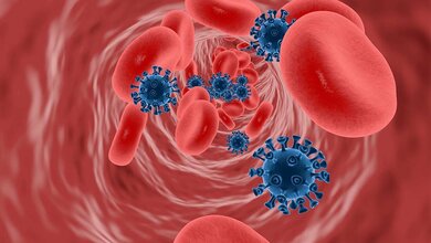 SARS-CoV-2 Infektion kann die Zellprogramme in der Leber deutlich verändern. 
