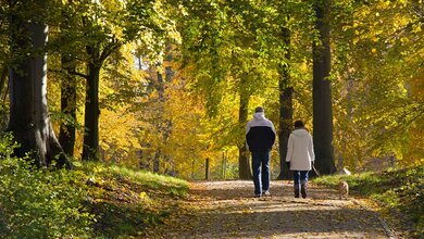Am 10. Mai ist bundesweiter "Tag gegen den Schlaganfall".