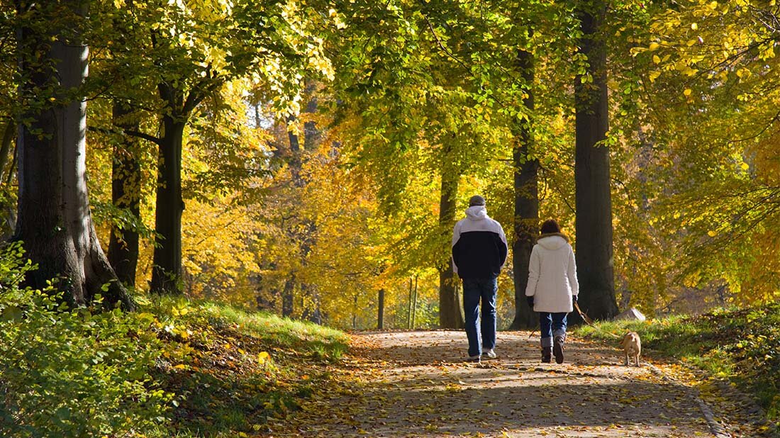 Am 10. Mai ist bundesweiter "Tag gegen den Schlaganfall".