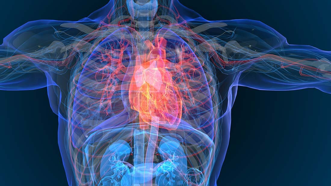  Koronaren Herzkrankheit (KHK): Große Unterschiede bundesweit