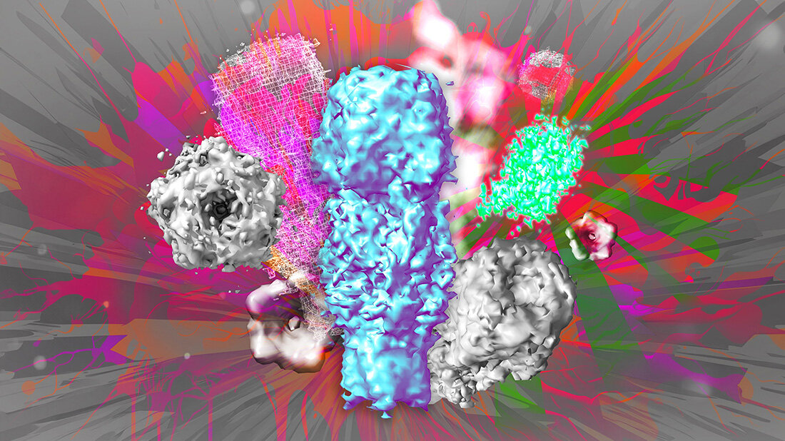 3D-Mikroskopie.jpg 3DProteinstruktur