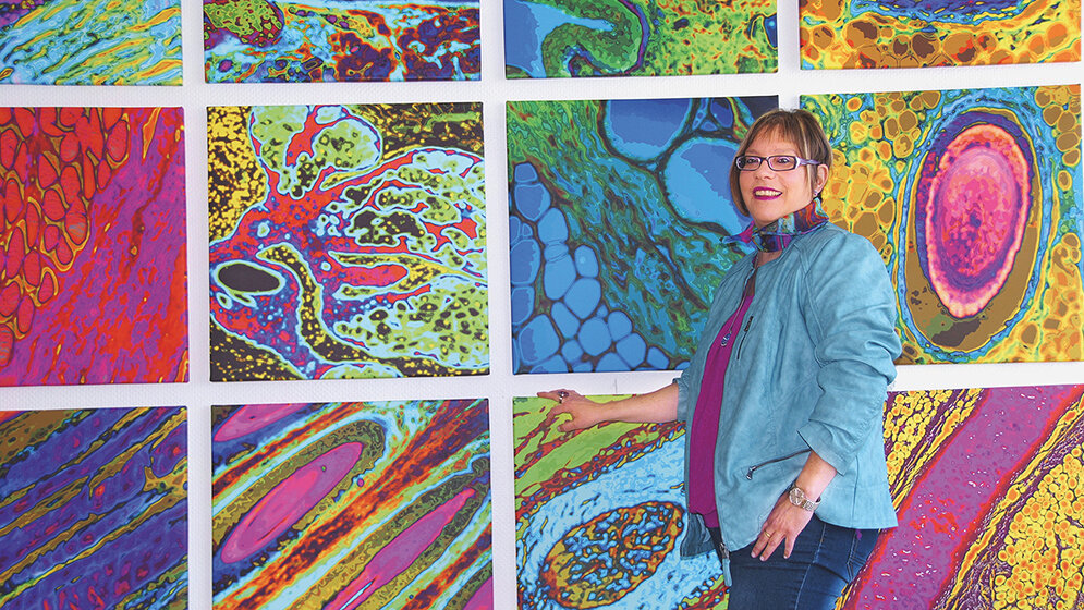 Veranstaltungen HistoPopArt