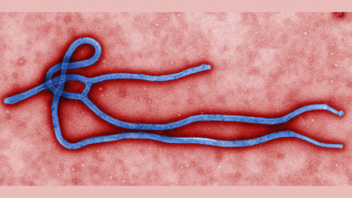 Ebola