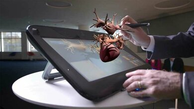 Living Heart Project