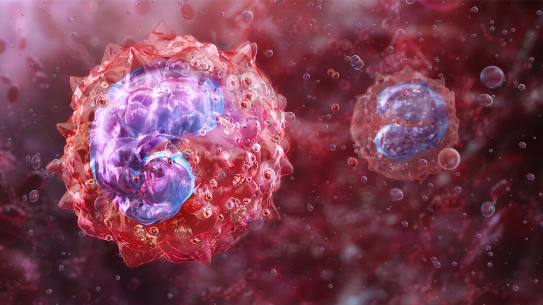 Monozyten.jpg Symbolhafte Darstellung von Monozyten.