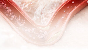 Grafische Darstellung des arteriellen Blutkreislaufs