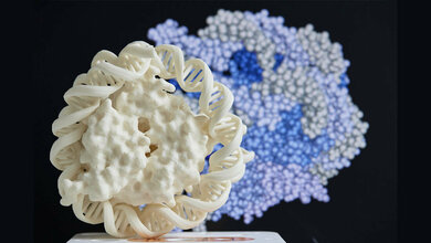 Bruchstücke der DNA von Erregern im Blut nachweisen 