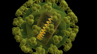 HI_Virus.jpg HI Virus