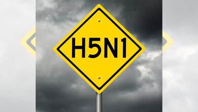 Schild mit H5N1