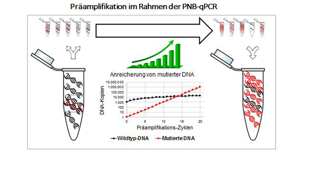 Ausschnitt aus dem diagnostischen Ablauf der neuen Methode