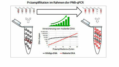 Ausschnitt aus dem diagnostischen Ablauf der neuen Methode
