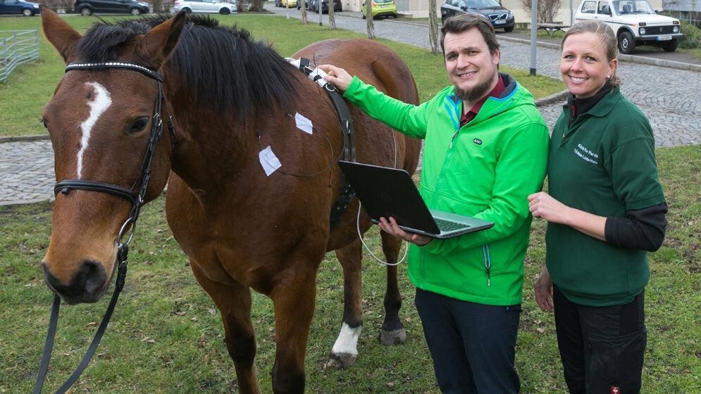 Projekt "HorseVetMed"