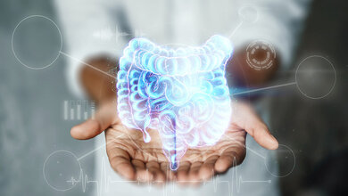 Morbus_Crohn.jpg Morbus Crohn
