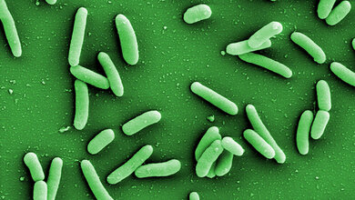 Die neue Software Traitar 