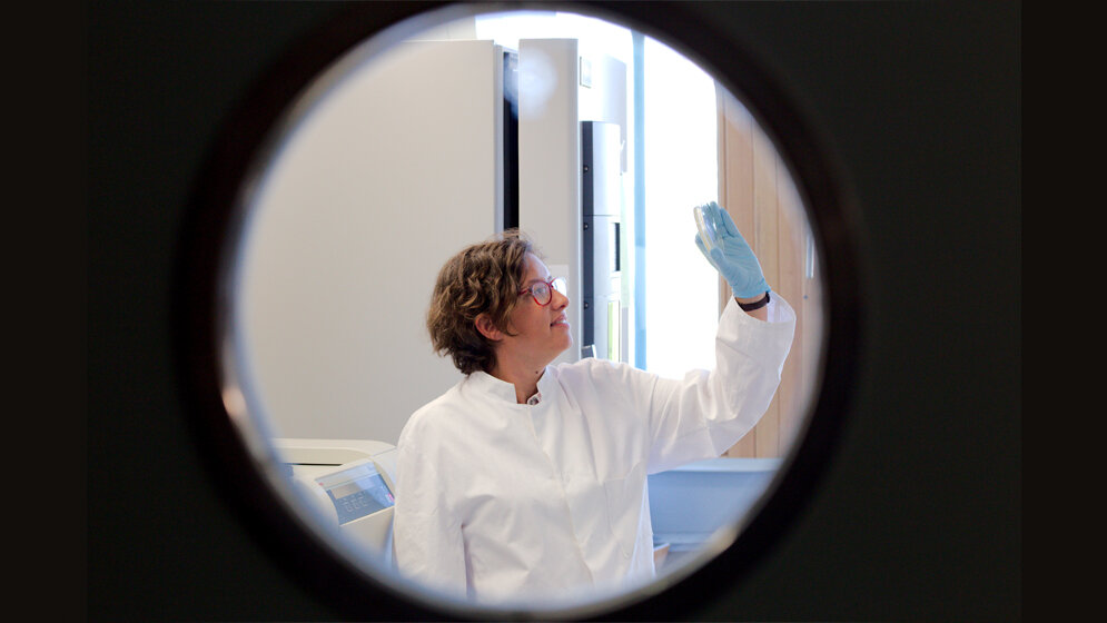 Dr. Ana Rita Brochado 