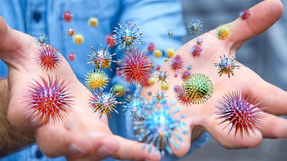 Viren_Adobe.jpg Bestimmung von Viren