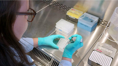 Vorbereitung der Proben für die PCR-Analyse.