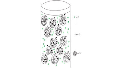 Laboratoriumsmedizin Repetitorium: Gelpermeationschromatografie