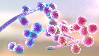 3D-Illustration des Pilzes candida albicans, unklarer hintergrund, blau-pinke Stäbe mit blau-pinken Kügelchen dran