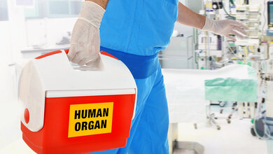 Spenderorgan_Abstossung.jpg Abstoßen von Spenderorganen verhindern, neue Zelltherapie