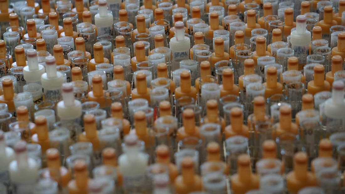 COVID-19-Impfungen: Einfluss von Schlaf und Psyche untersucht