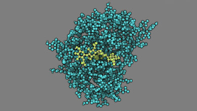 Modell des Enzyms Chitosan-Deacetylase