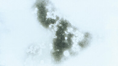 ECHO-Viren – gefährlich für Neugeborene