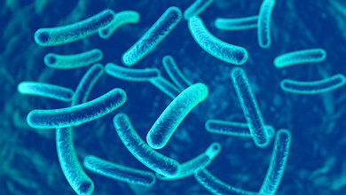 Nicht-tuberkulöse Mykobakterien